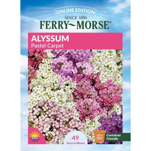 0001 Alyssum Pastel Carpet Front 2000px