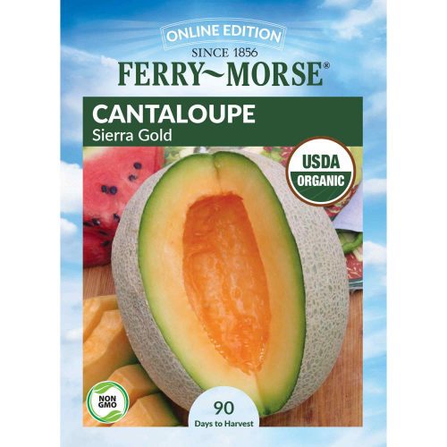 0790 Cantaloupe Sierra Front 2000px