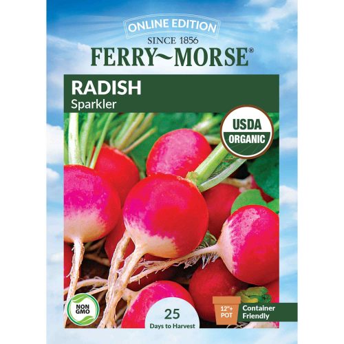 0796 Radish Sparkler Front 2000px