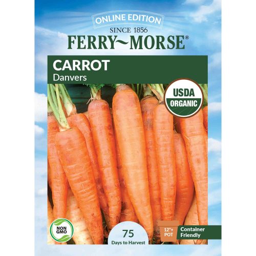 0812 Carrot Danvers Front 2000px