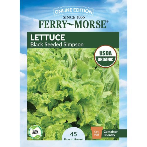 0815 Lettuce Black Seeded Front 2000px