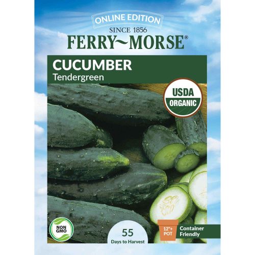 0908 Cucumber Tendergreen Front 2000px