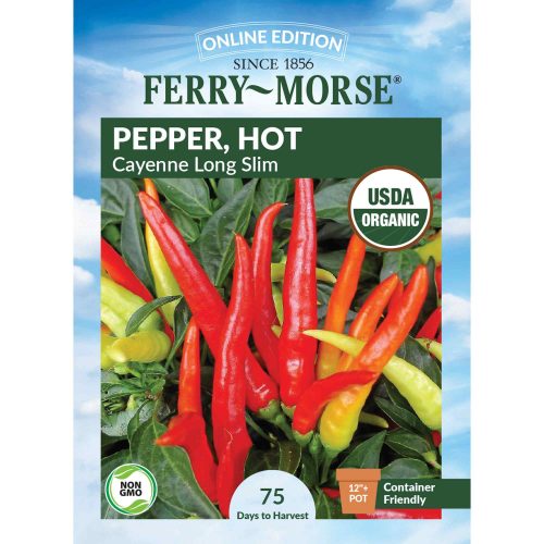 0920 Pepper Cayenne Long Front 2000px