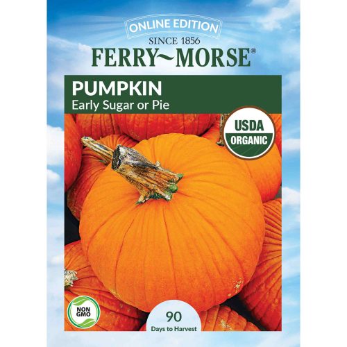 0922 Pumpkin Early Sugar Front 2000px