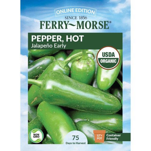 0935 Pepper Jalapeno Early Front 2000px