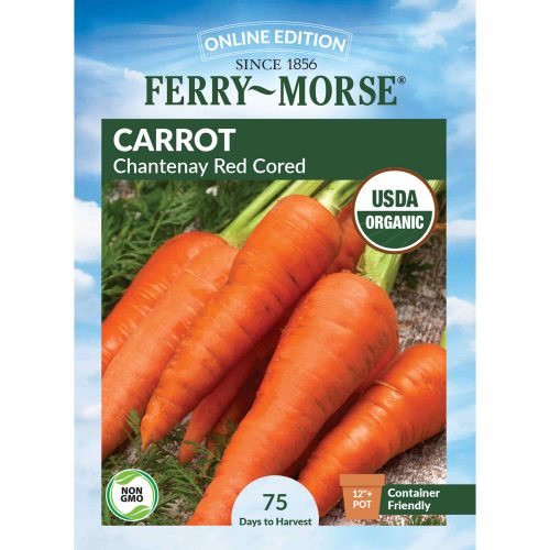 1315 Carrot Chantenay Front 2000px