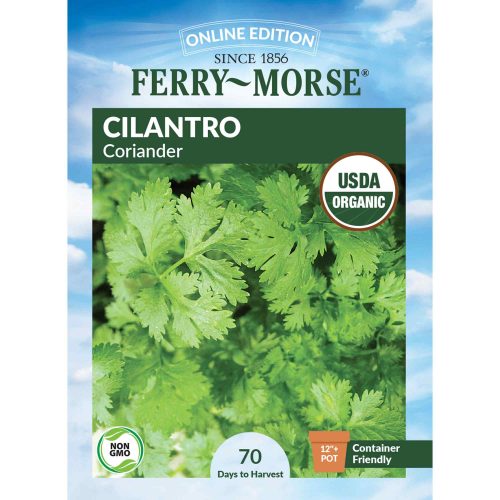 1340 Cilantro Front 2000px