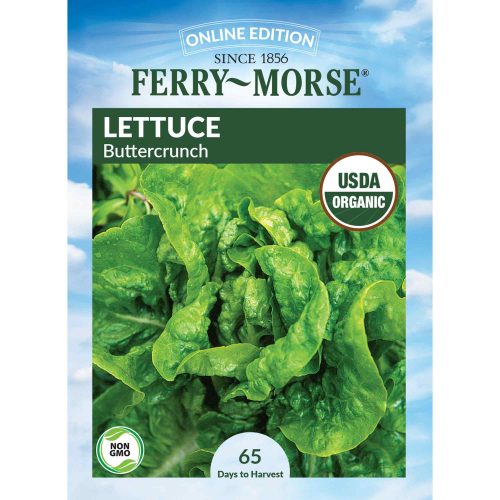 1385 Lettuce Buttercrunch Front 2000px