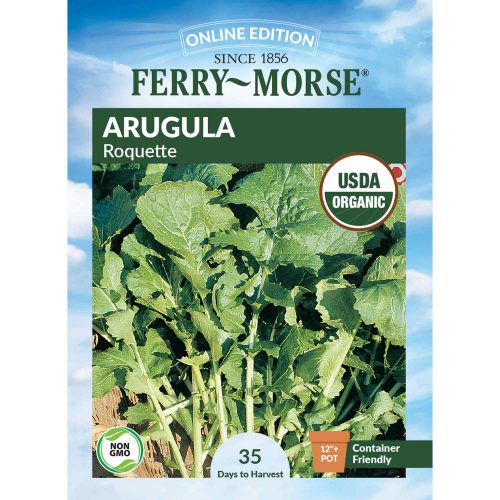 1390 Arugula Roquette Front 2000px