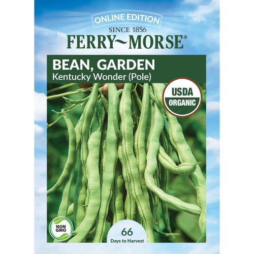 1402 Bean Kentucky Wonder Front 2000px