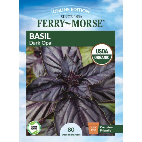 1413 Basil Dark Opal Front 2000px