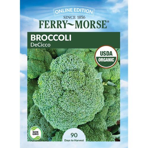 1415 Broccoli DeCicco Front 2000px