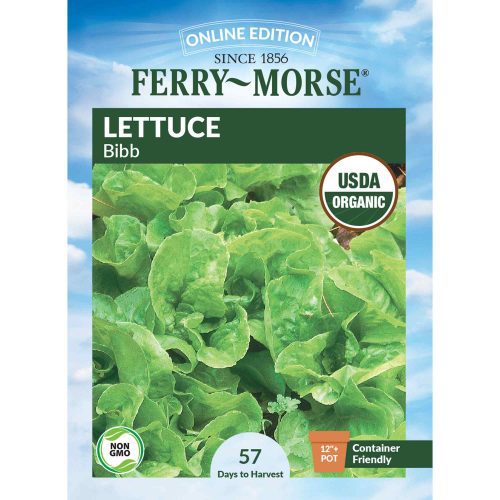 1418 Lettuce Bibb Front 2000px