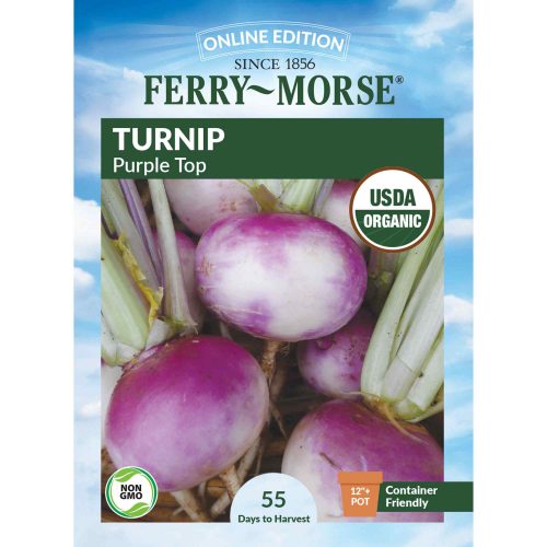 1419 Turnip Purple Top Front 2000px