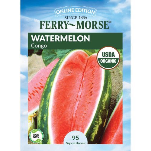 1425 Watermelon Congo Front 2000px