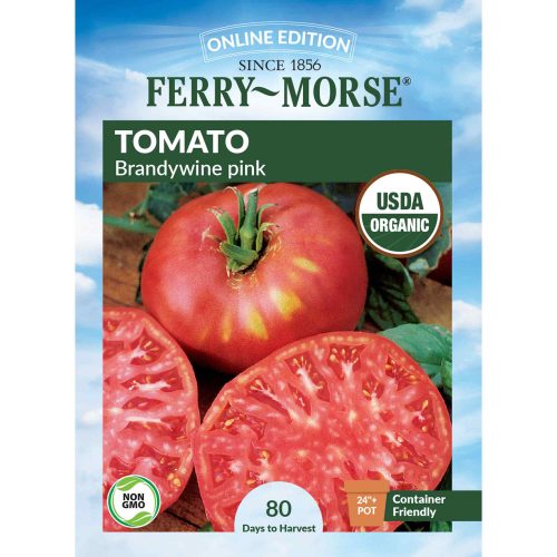 1426 Tomato Brandywine Front 2000px