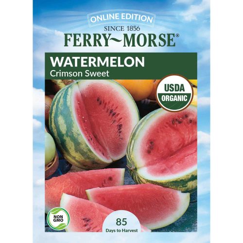 1510 Watermelon Crimson Front 2000px