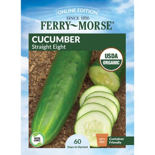 1520 Cucumber Straight Eight Front 2000px