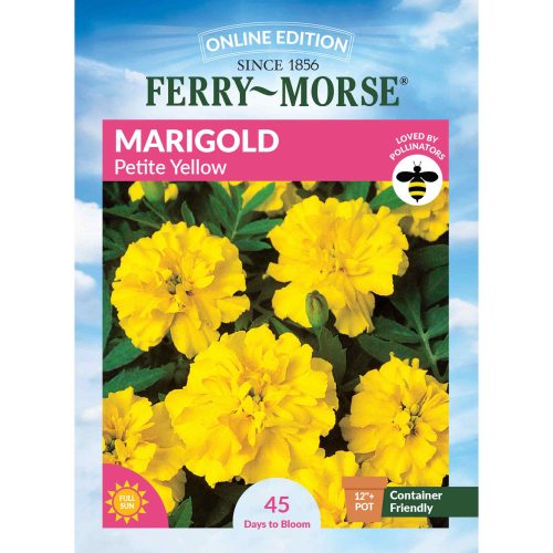 2113 Marigold Petite Yellow Front 2000px