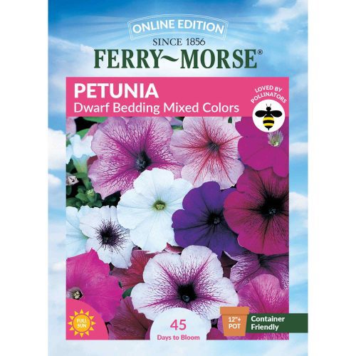 2143 Petunia Dwarf Bedding Front 2000px