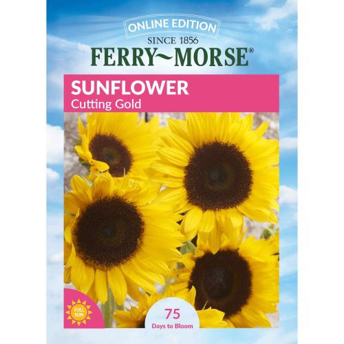 2321 Sunflower Cutting Gold Front 2000px