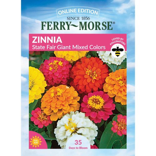 2766 Zinnia State Fair Front 2000px