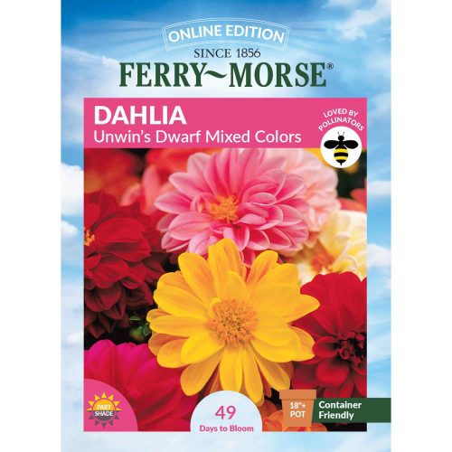 2768 Dahlia Unwins Front 2000px