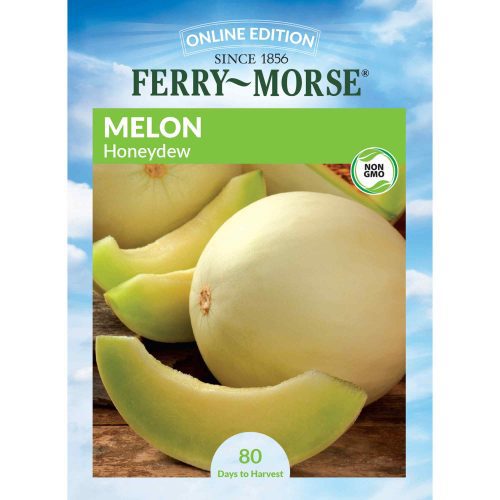 2847 Melon Honeydew Front 2000px