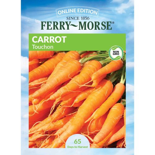 2932 Carrot Touchon Front 2000px