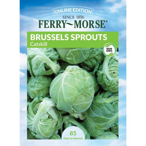 4078 Brussels Sprouts Catskill Front 2000px