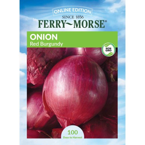 4082 Onion Red Burgundy Front 2000px