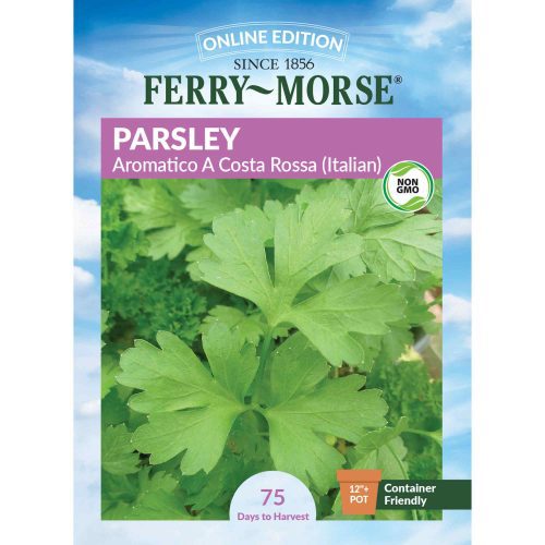 4109 Parsley Aromatico Front 2000px