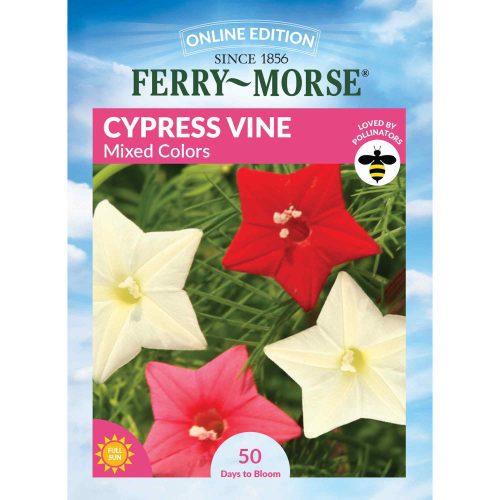 4134 Cypress Vine Front 2000px