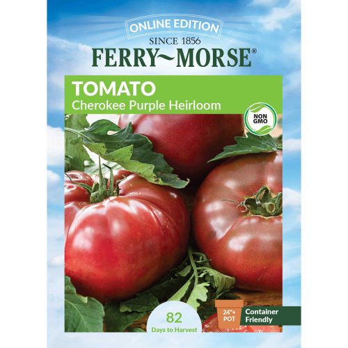 4165 Tomato Cherokee Front 2000px