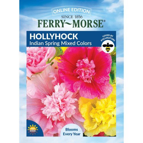 5813 Hollyhock Indian Spring Front 2000px