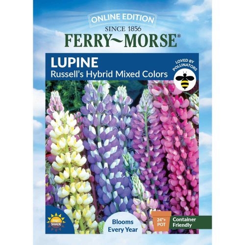 5983 Lupine Russells Front 2000px