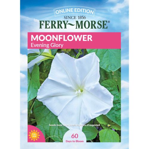 6071 Moonflower Front 2000px