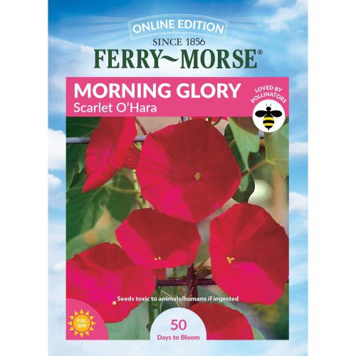 6082 Morning Glory Scarlet Front 2000px