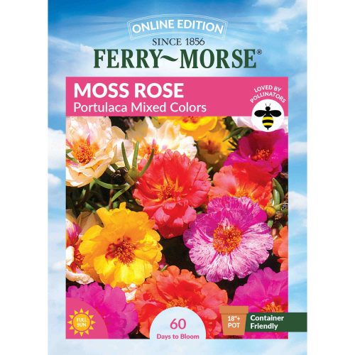 6091 Moss Rose Portulaca Front 2000px