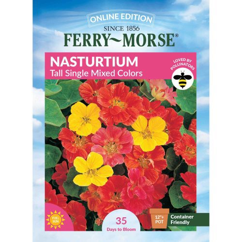 6107 Nasturtium Tall Single Front 2000px