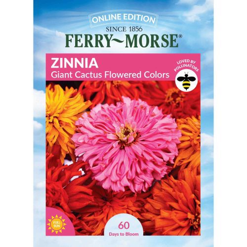 6740 Zinnia Giant Cactus Front 2000px