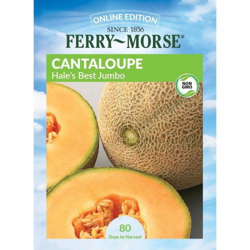 7162 Cantaloupe Hales Front 2000px