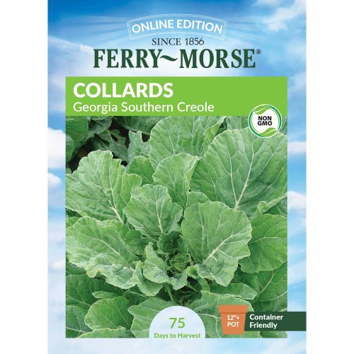 7243 Collards Georgia Front 2000px