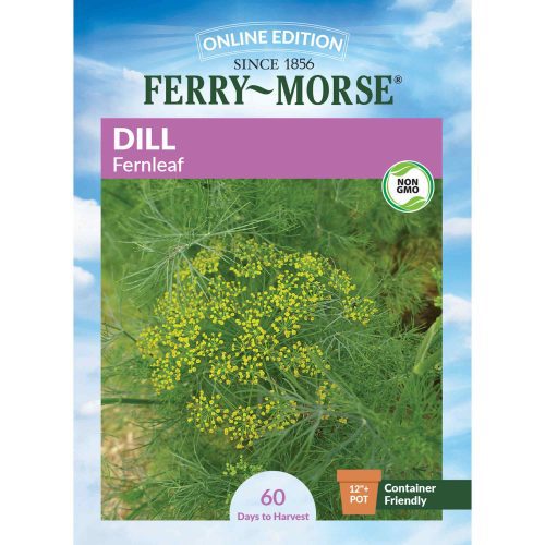 7302 Dill Fernleaf Front 2000px