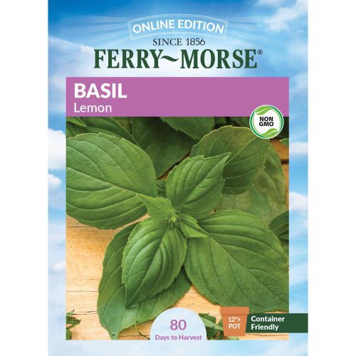 7352 Basil Lemon Front 2000px