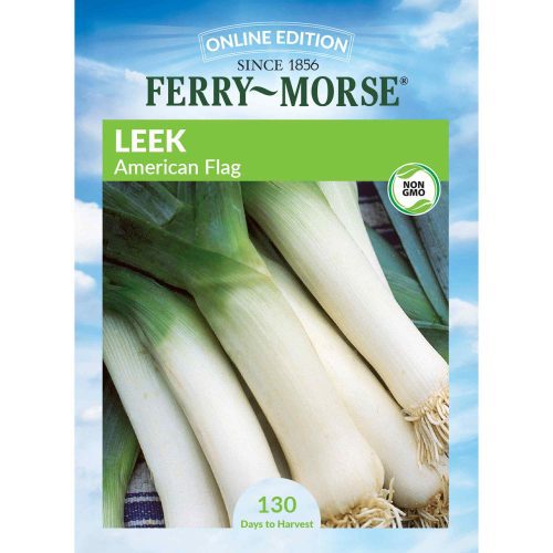 7381 Leek American Front 2000px