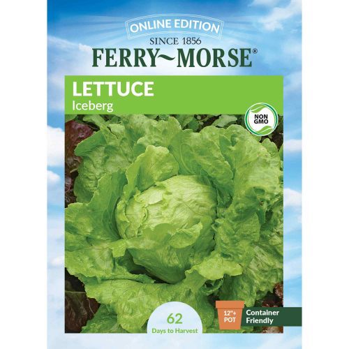 7406 Lettuce Iceberg Front 2000px