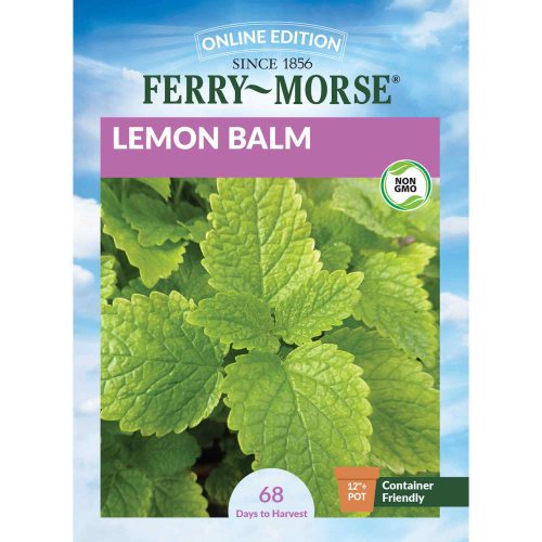 8029 Lemon Balm Front 2000px