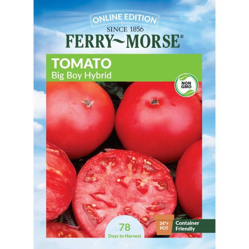 8101 Tomato Big Boy Front 2000px