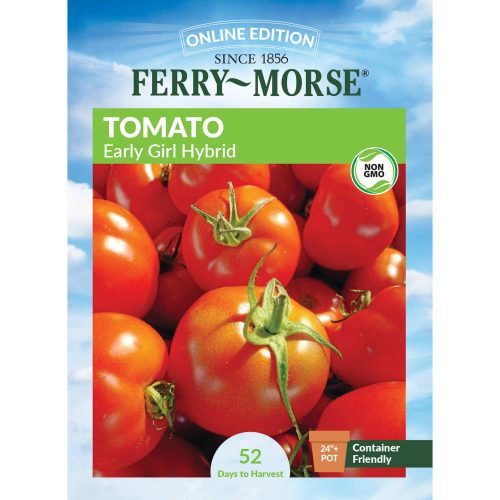 8102 Tomato Early Girl Front 2000px